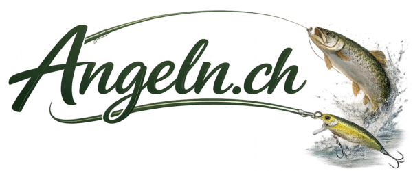 Zubehör und Shop